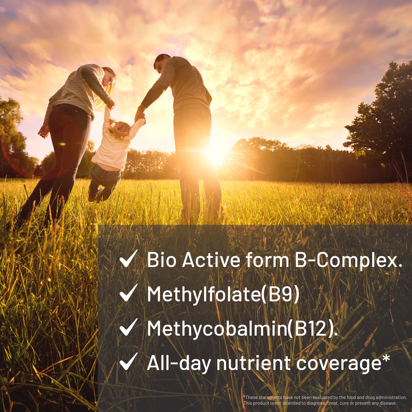 Active B-Complex