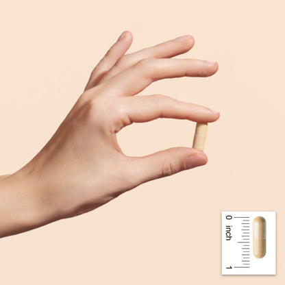 Active B-Complex supplement capsule held between fingers showing 13/16 inch length