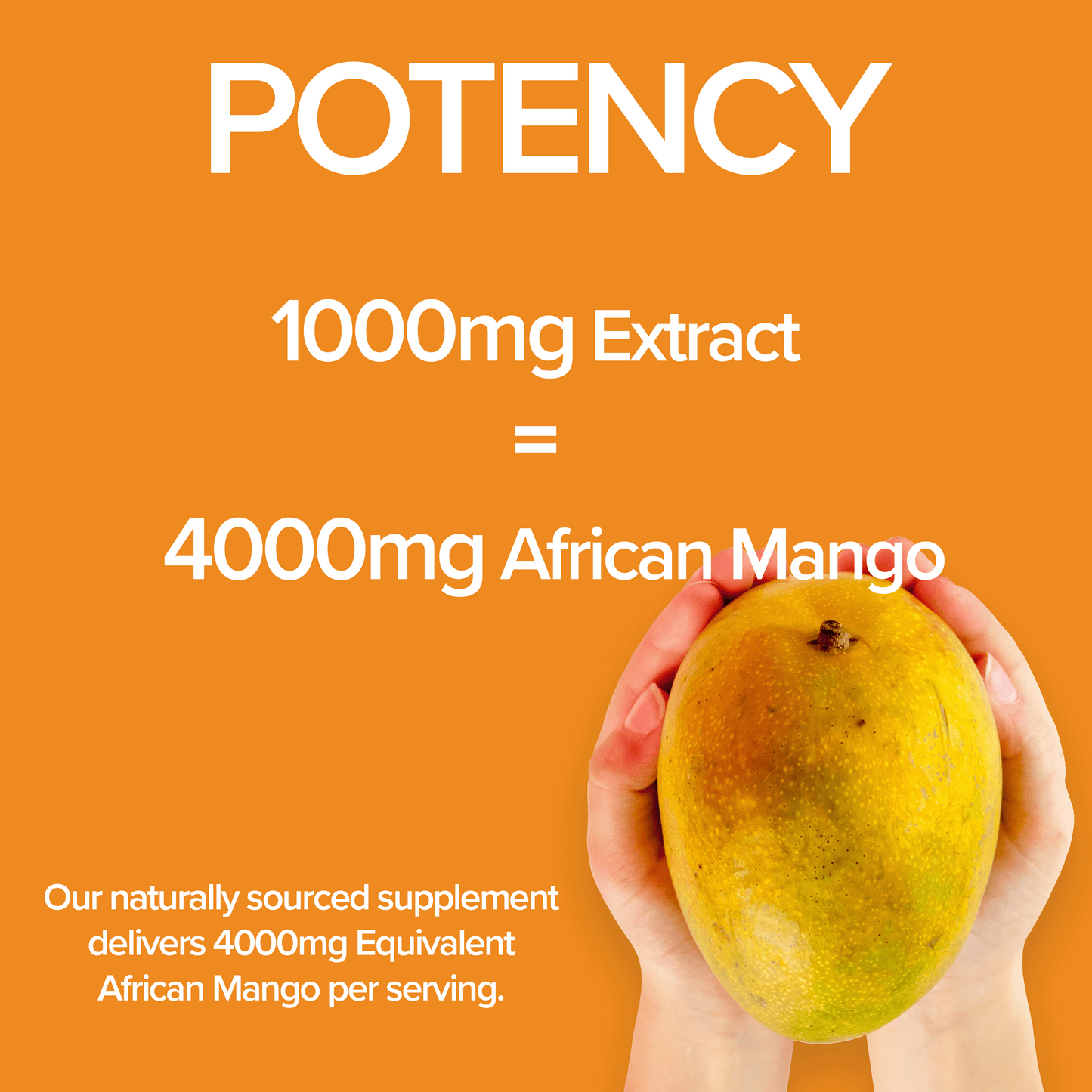 CGM Labs - African Mango Seed Extract 1000mg - 180 caps