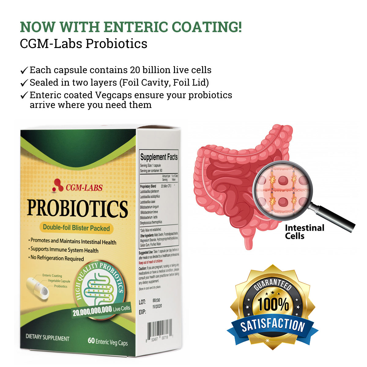 CGM Labs - Probiotics - 60 Capsules